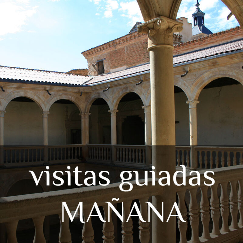 MORNINGS Guided Tour (11:00 h)