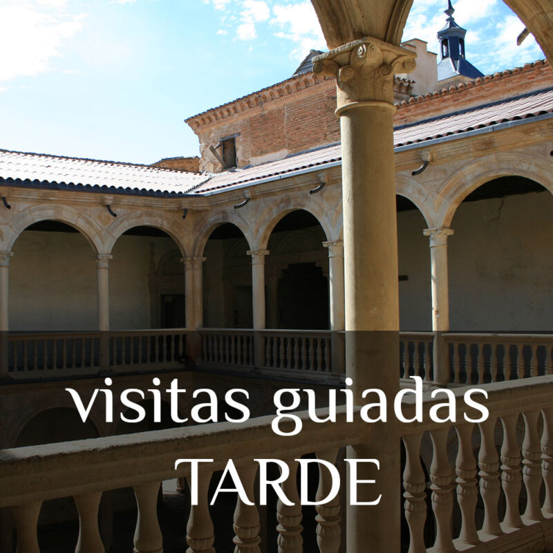 AFTERNOON Guided Tour (17:00 h)